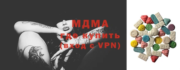 индика Богородск