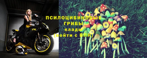 jwh Белокуриха