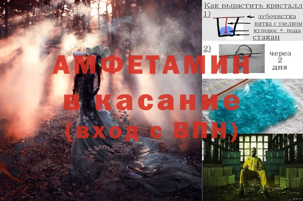 индика Богородск