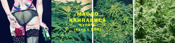 индика Богородск
