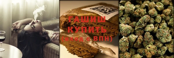 индика Богородск