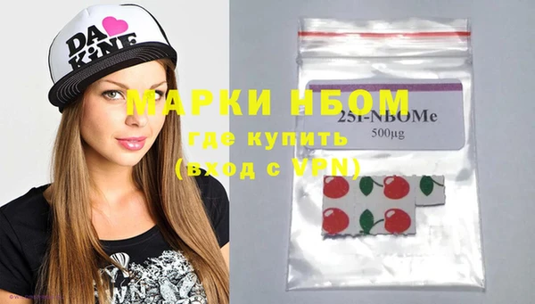 индика Богородск